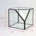 Modern Glass Geometric Terrarium Box Tabletop Succulent Plant Planter   302790924127